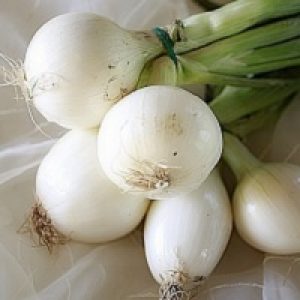 Onion RC – White Elephant