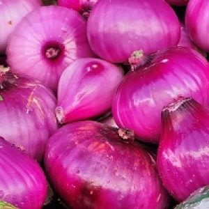 Onion RC – Red France XXL