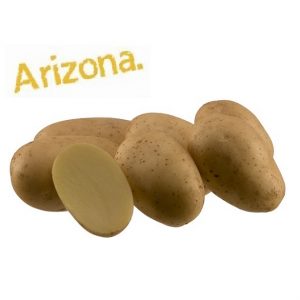 Potato Arizona