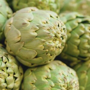 ARTICHOKE GREEN GLOBE