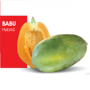 Papaya Babu