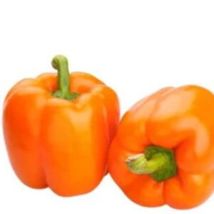 Capsicum Seeds Orange
