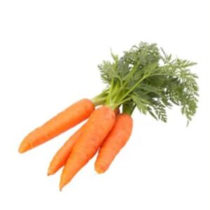 Carrot Seeds