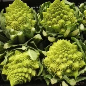 Romanesco Cauliflower – F1