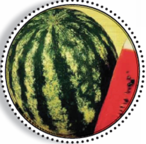 WM-HY100023 – Watermelon