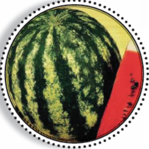 WM-HY100023 – Watermelon