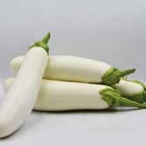 Eggplant – VARIETY E04
