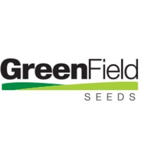 Watermelon – HONEY BALL (Hybrid)