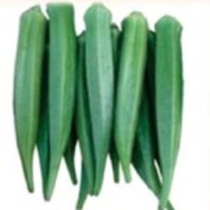 Okra – HARIYALI PLUS