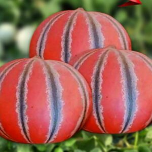 LALPARI
