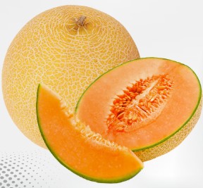 Muskmelon – MAHAK