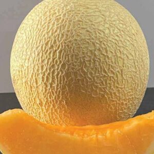 Melon – 92 F1