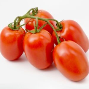 Tomato – NIRMAL