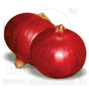 Onion N-53