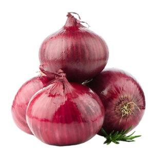 Onion – AMPOSTA PURPLE/RED