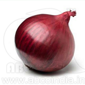 Onion A.F.D.R