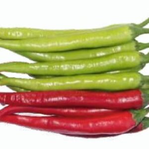 Chili Pepper – PEPPER LUX