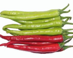 Chili Pepper – PEPPER LUX