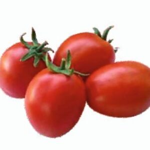Tomato – CRIMSO