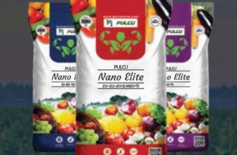 Fertilizer Turkey Update January 5, 2026