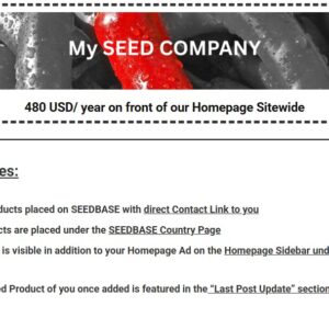 Homepage Banner – Full Width (12 Months)