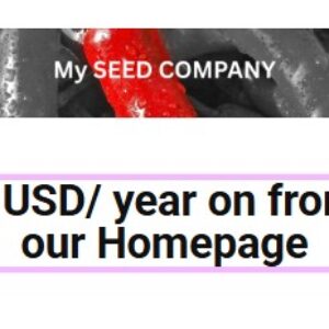 One Third Width Banner – (12 Months)