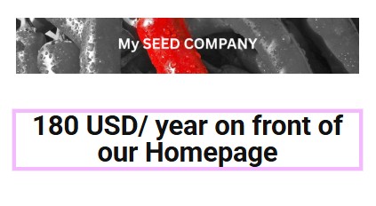 One Third Width Banner – (12 Months)