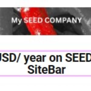 Direct Link to your Company  on SEEDBASE SiteBar (12 Months)