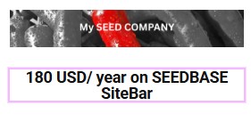 Direct Link to your Company on SEEDBASE SiteBar (12 Months)