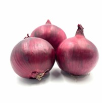 Onion Red - Rolein
