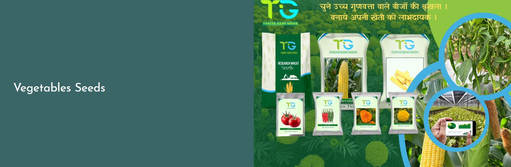 Thrive Gene Seeds Thrive Gene Seeds