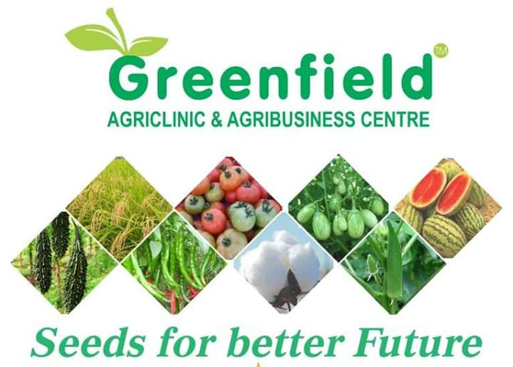 Greenfield Seeds