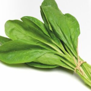 Spinach – SWARNA