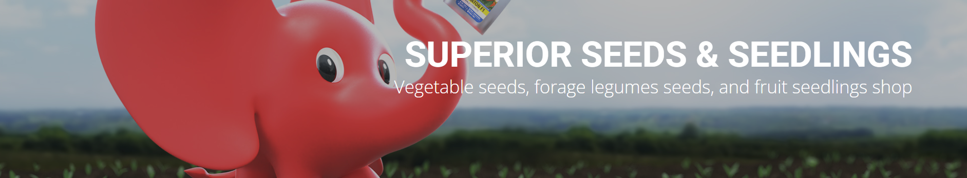 Superior Seeds