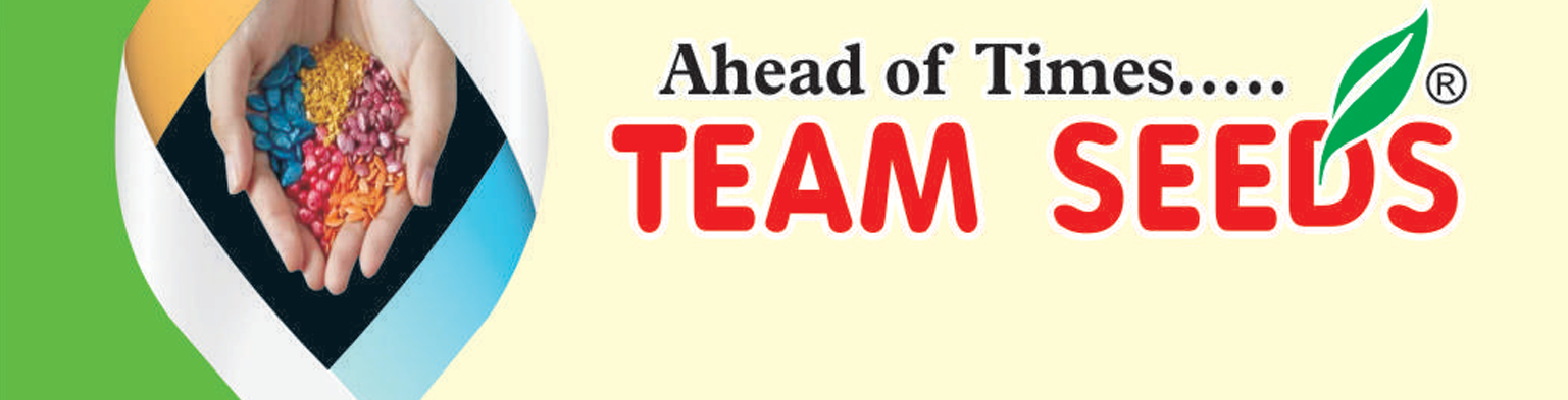 Team-Seeds Team-Seeds
