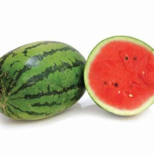 Watermelon – N-6697 F1