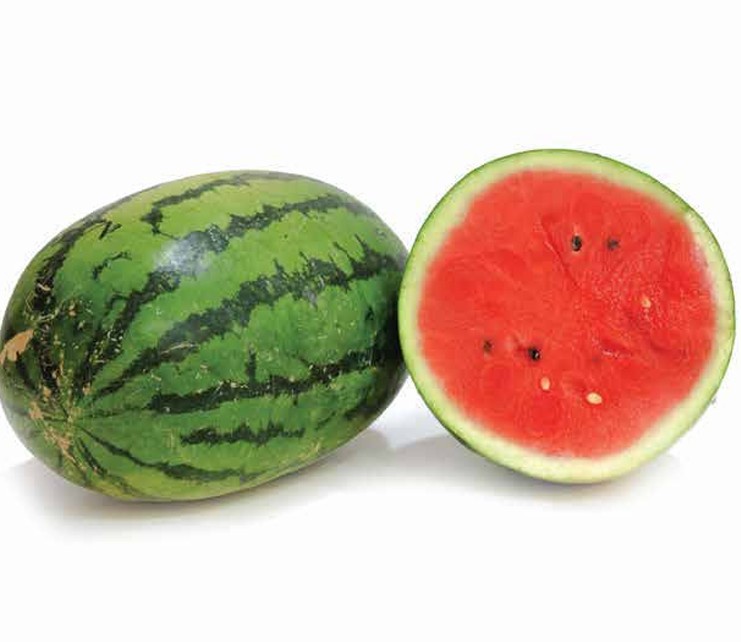 Watermelon – N-6697 F1
