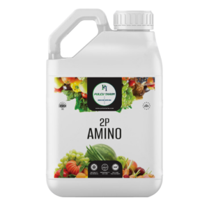 2P Amino