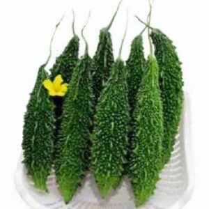 Bitter Gourd – BALSAM