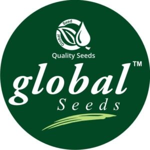 Global Seeds India