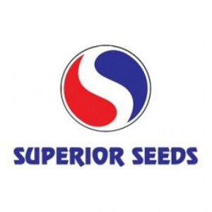 Superior Seeds