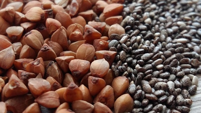 SEED Import IRAN