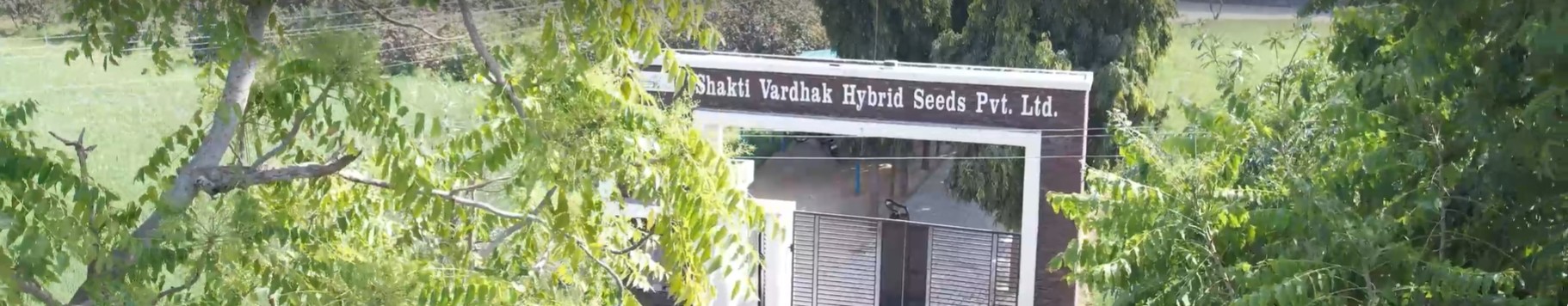 Shakti Vardhak Hybrid Seeds Pvt. Ltd. Shakti Vardhak Hybrid Seeds Pvt. Ltd.