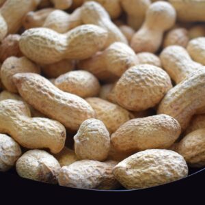 Peanut – BIG PINK (Treated)