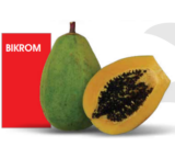 Papaya Seeds Bangladesh Update January 23, 2025