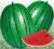 Watermelon Chunhongyu F1