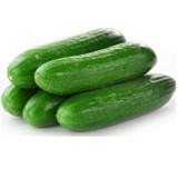 Cucumber Seeds Jordan Update November 3, 2022