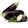 Eggplant RAD F1