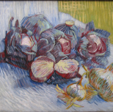 Onion Seeds Yellow Netherlands Update