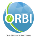 Orbi Seed International